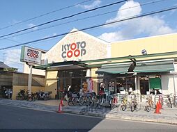 オルビスミソノ 303