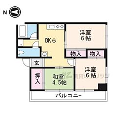 グレーシー高野