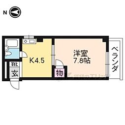 ロータスクラタ 503