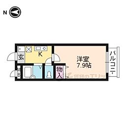 センターアイランド 305