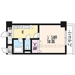 カサ　カリエンテ 305