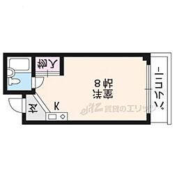 プルミエール 31