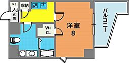 シャロン灘 501