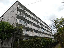 三郷早稲田団地3-19-3号棟 204号室