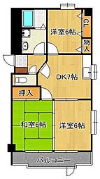 クレベール社ノ木
