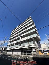 アーリーリバー 801