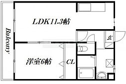 M’sドリームVIII 102