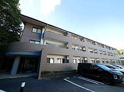 山根マーヴェラスマンション 204