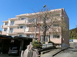 村田松原ハイツ C302