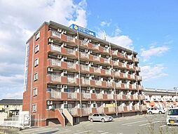 グランドセレブ真木 505