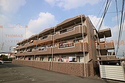 エバーグリーン角園 206