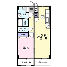 シャイニー 304