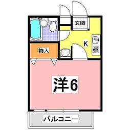 ニュープレジデント藤澤