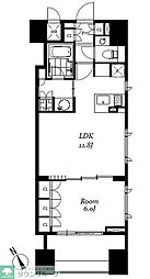 チェスターコート御茶ノ水 302