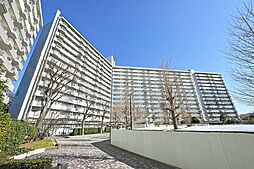 UR野菊野