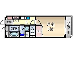 シンコ・コスモス