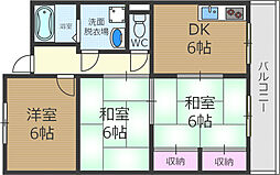 シャンテコウノキ