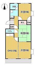 シティーパレス松本 203