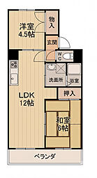 ハイツ新宿 105