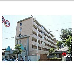 三鷹市新川３丁目