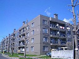 カムイ24Ｂ　（旧　第2コイズミハイツ） 2309