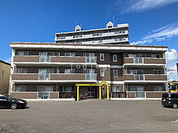 ＰＡＮＤＡ　1973 303