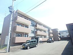 ＢＲＡＩＮ（旧ＤＯＵＸ1．6Ｎ） 206