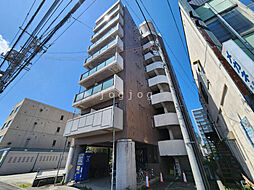 ナッツＳＰＩＲＩＴ1 203