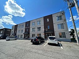 ベイクリスタル 203