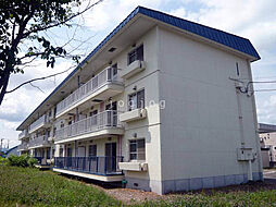 春光ユニバーサルマンション 101