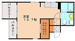 TMツインコート