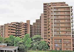 板橋区志村２丁目