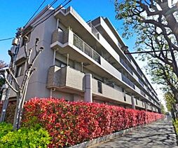 小金井市前原町５丁目