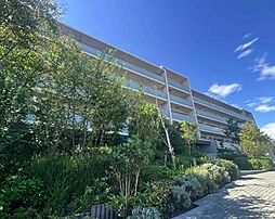 横浜市神奈川区白幡東町