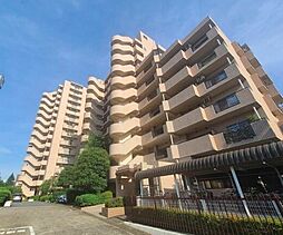 練馬区光が丘７丁目