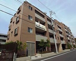 江戸川区新堀１丁目
