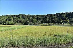 喜入前之浜町　売土地