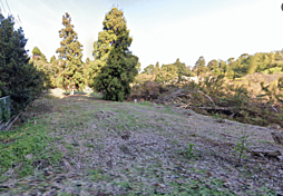 九十九里　白子町　空地