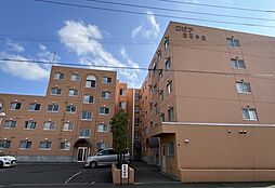 ロピア白石中央