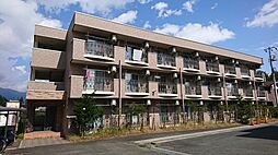 グランドガーデンハイツ 301