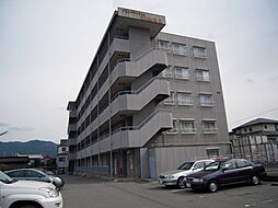 グランドマンションコスモパレス 203