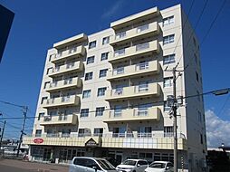 ＣＩＮＱ　ＡＲＣＡＤＩＡ 206