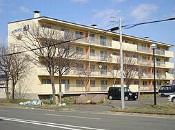 メイプルタウン楓　2号棟 213