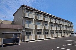 レジデンスみやま F棟 203号室