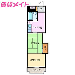 シャンピアスズキ