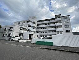 サングレイス朽網 206