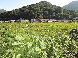 門司区青葉台1番街区　土地