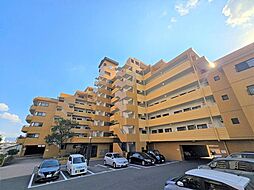 サンライフ白山