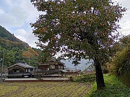 山に囲まれた清流の集落ピュアな自然
