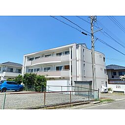 ＷＩＮＤＹ ＯＮＥ ＡＯＫＩ 103